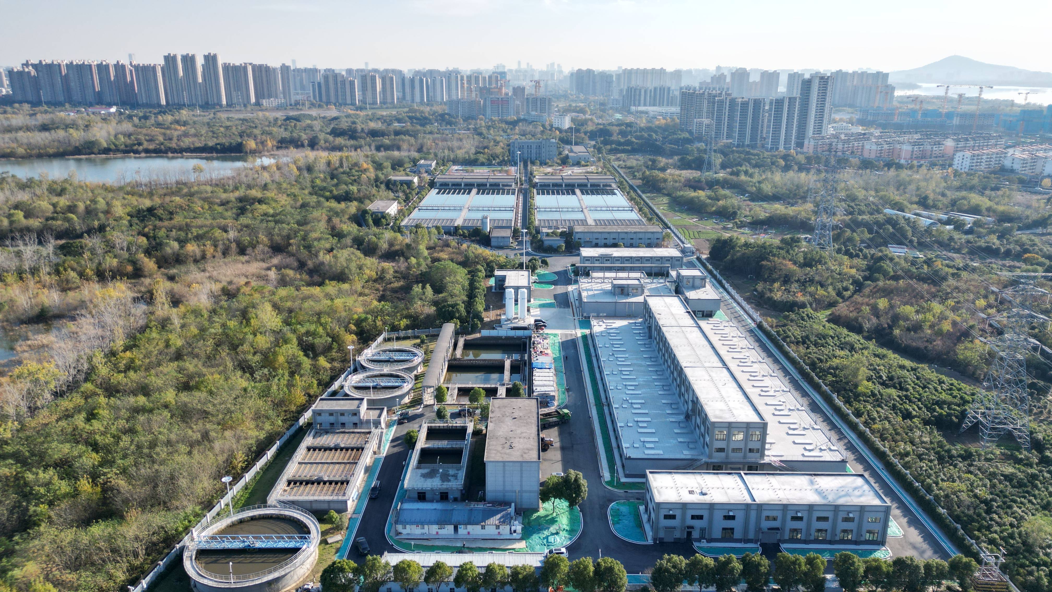 朝阳市合肥专业企业价值增长(合肥市重点企业产业目录)
