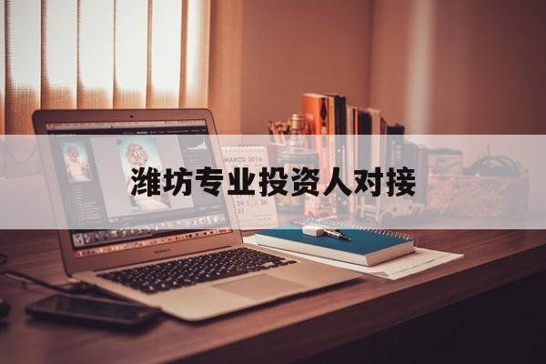 朝阳市潍坊专业投资人对接(潍坊专业投资人对接中心)